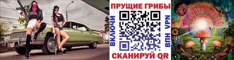 Псилоцибиновые грибы мицелий  Купить закладки  Воткинск 